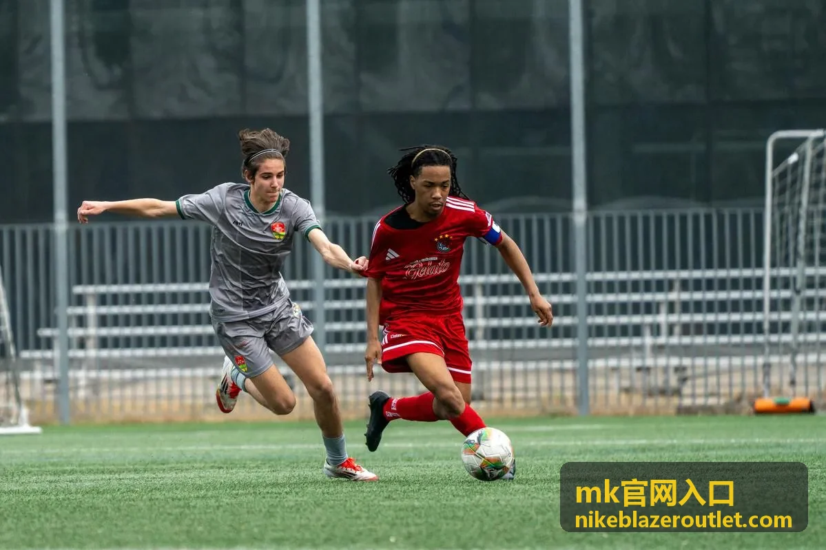 mk官网入口访问指引与登录说明页面